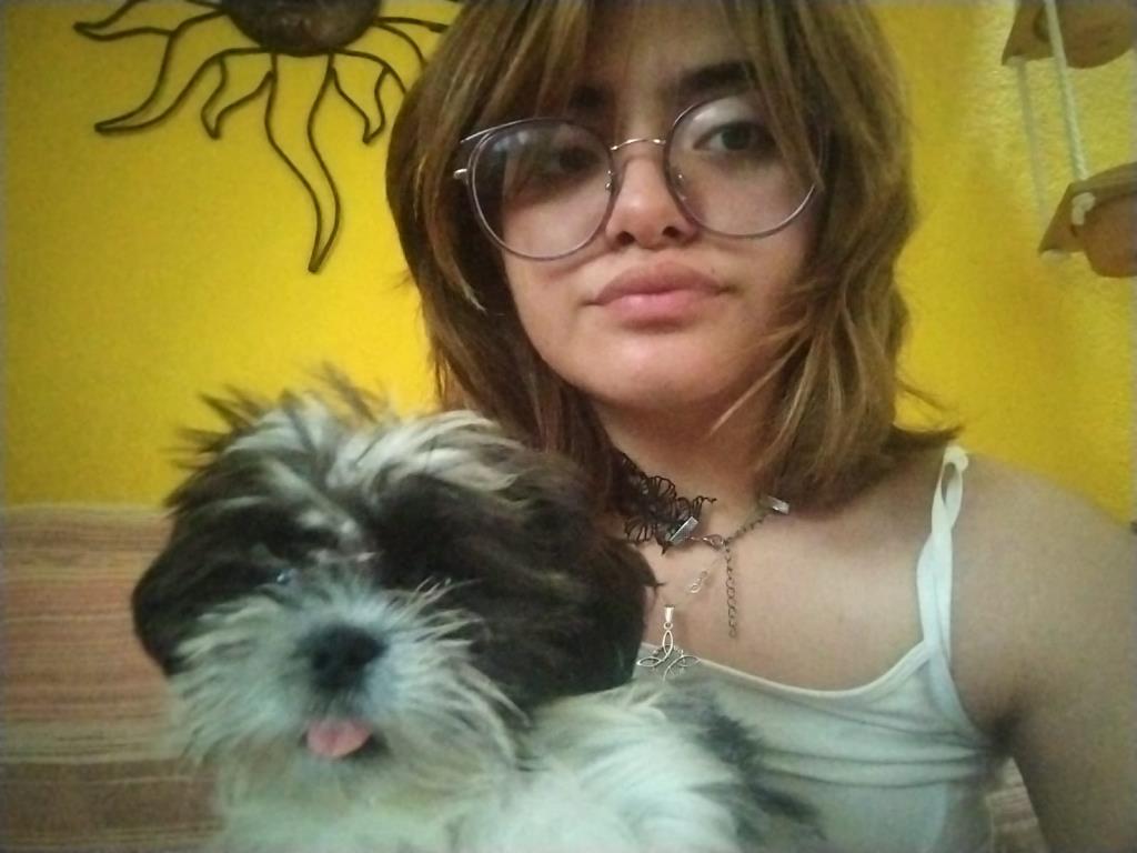 maskotines